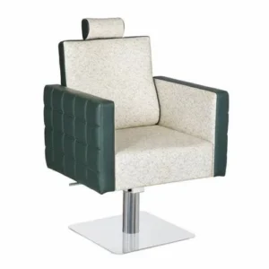 Luxury Salon Chair with Adjustable Headrest